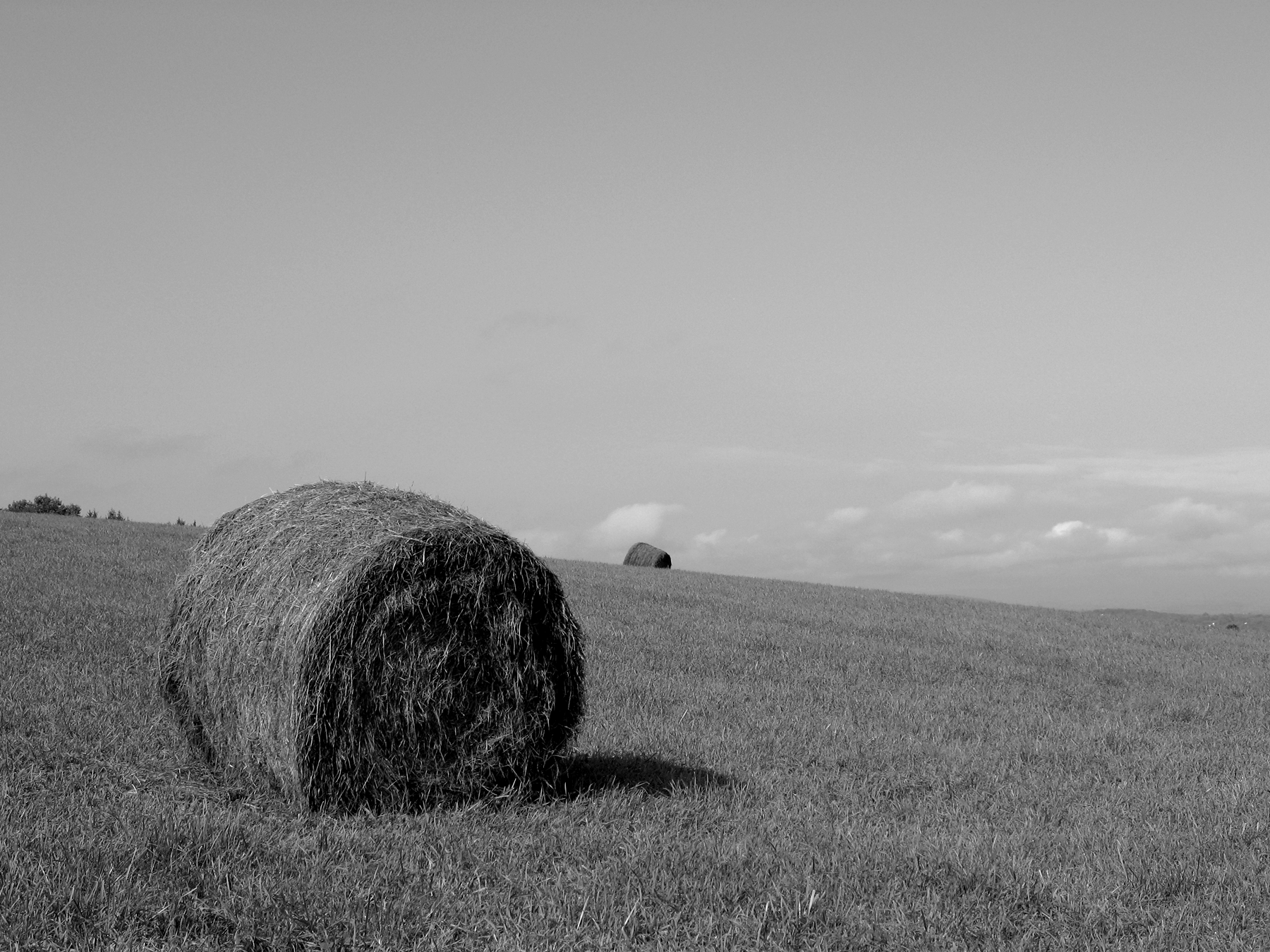 Hay Bale After